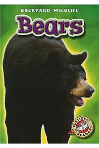 Bears