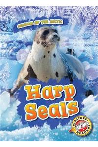 Harp Seals