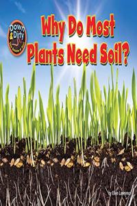 Why Do Most Plants Need Soil?