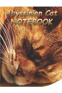 Abyssinian Cat NOTEBOOK