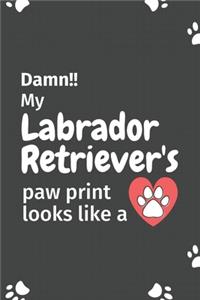 Damn!! my Labrador Retriever's paw print looks like a
