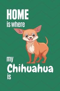 Home is where my Chihuahua is