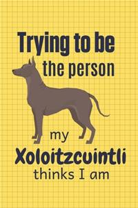 Trying to be the person my Xoloitzcuintli thinks I am
