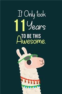 It Only Took 11 Years to be this Awesome