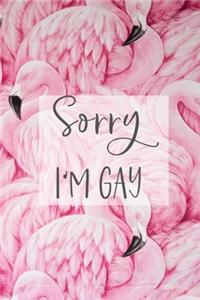 Sorry I'm Gay