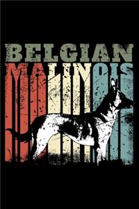 Belgian Malinois