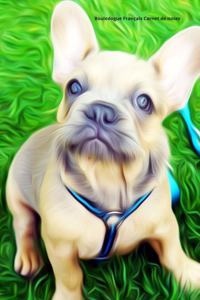 Bouledogue Français Carnet de notes
