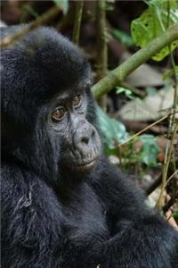 Chimpanzee Baby in Uganda, Africa Journal: Take Notes, Write Down Memories in this 150 Page Lined Journal