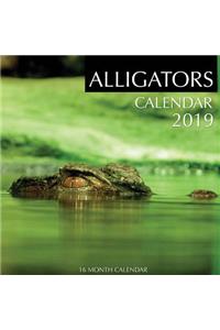 Alligators Calendar 2019