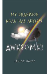 My Grandson Noah has Autism