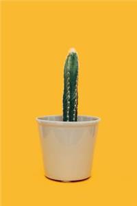 Cactus Notebook