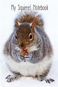 My Squirrel Notebook