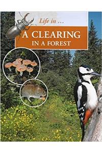 A Clearing in the Forest (Life in a ...)