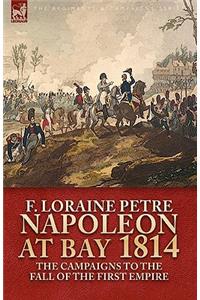 Napoleon at Bay, 1814