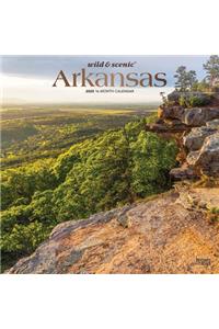 Arkansas Wild & Scenic 2020 Square Foil