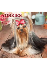 Yorkshire Terriers 2021 Square Foil