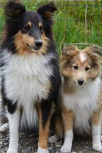 Cute Mom and Baby Collie Dogs Journal