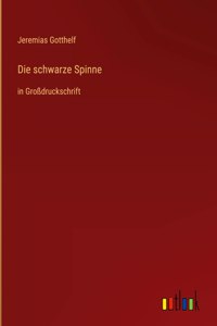 schwarze Spinne