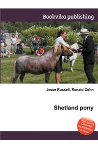 Shetland Pony