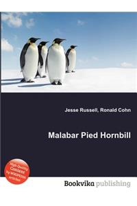 Malabar Pied Hornbill