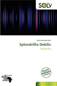 Splendrillia Debilis