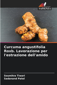 Curcuma angustifolia Roxb. Lavorazione per l'estrazione dell'amido