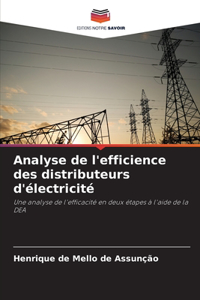 Analyse de l'efficience des distributeurs d'électricité