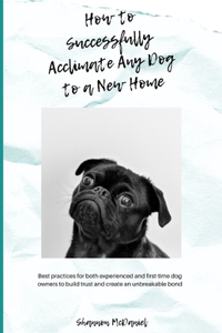 How to Successfully Acclimate Any Dog to a New Home