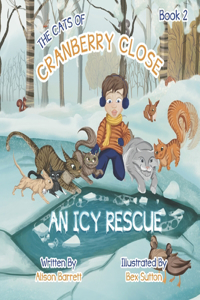 Cats of Cranberry Close Book 2 - An Icy Rescue