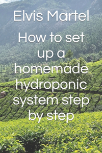 How to set up a homemade hydroponic system step by step