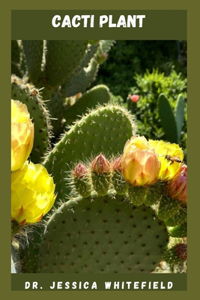 Cacti Plant