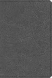 NASB Personal Size Bible, Charcoal Leathertouch