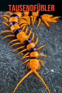 Tausendfüßler
