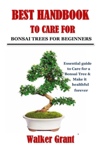Best Handbook to Care for Bonsai Trees for Beginners