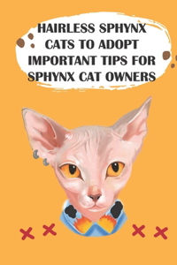 Hairless Sphynx Cats To Adopt Important Tips For Sphynx Cat Owners