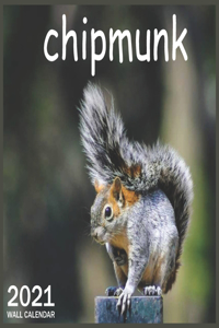 2021 chipmunk