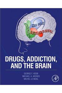 Drugs, Addiction, and the Brain