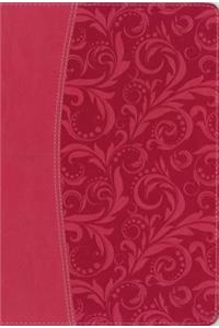 NIV, Essentials Study Bible, Leathersoft, Pink