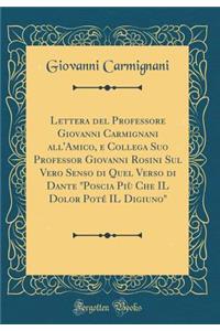 Lettera del Professore Giovanni Carmignani All'amico, E Collega Suo Professor Giovanni Rosini Sul Vero Senso Di Quel Verso Di Dante Poscia PiÃ¹ Che Il Dolor PotÃ© Il Digiuno (Classic Reprint)