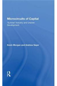 Microcircuits Of Capital: Sunrise' Industry and Uneven Development