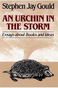 An Urchin in the Storm