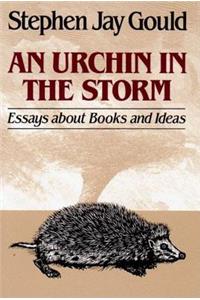 Urchin in the Storm