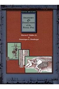 Anatomy and Dissection of the Fetal Pig