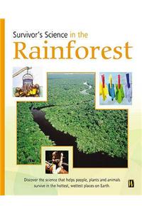 In The Rainforest