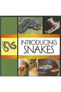 Introducing Snakes