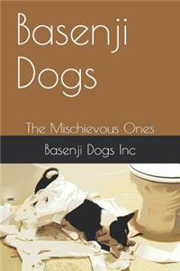 Basenji Dogs