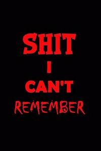 Shit I Can't Remember