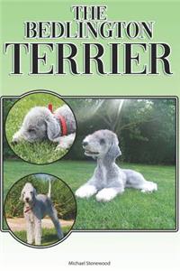 Bedlington Terrier
