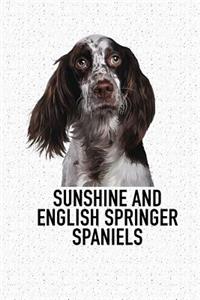 Sunshine and English Springer Spaniels