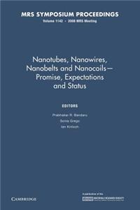 Nanotubes, Nanowires, Nanobelts and Nanocoils Promise, Expectations and Status: Volume 1142